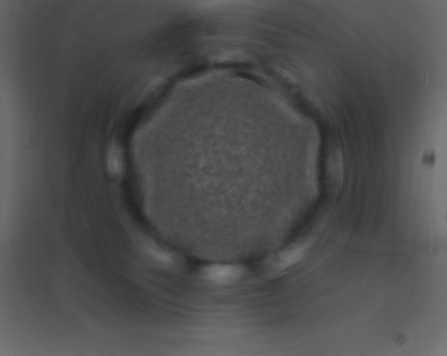 X0000094960135200712131653