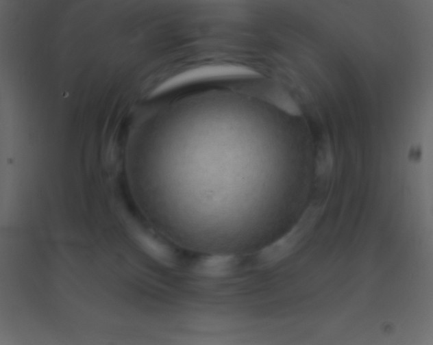 X0000094960136200712131653