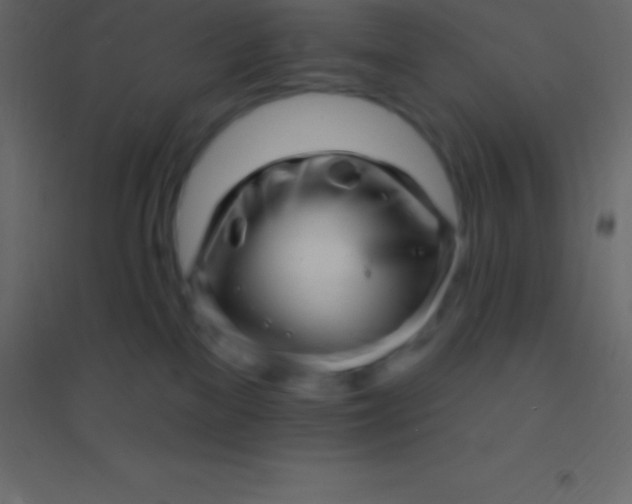 X0000094960137200712131653