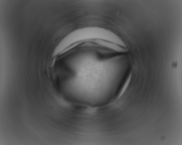 X0000094960138200712131653