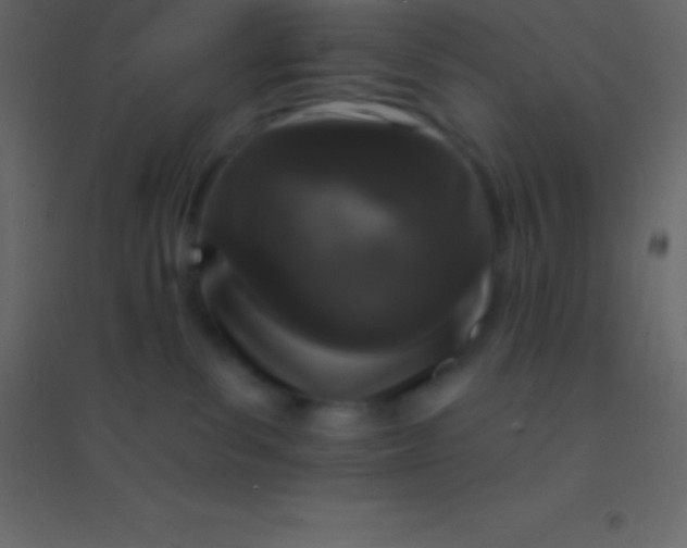 X0000094960139200712131653