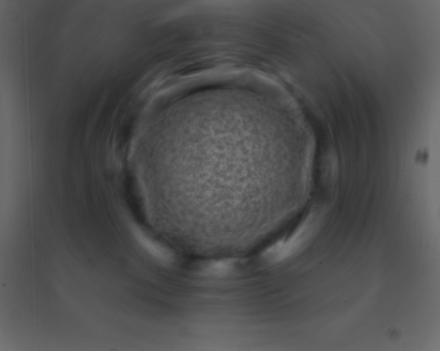 X0000094960140200712131653