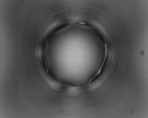 X0000094960141200712131653