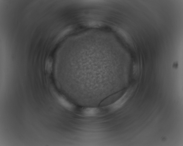 X0000094960142200712131653