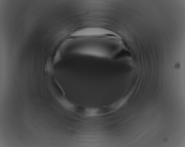 X0000094960143200712131653