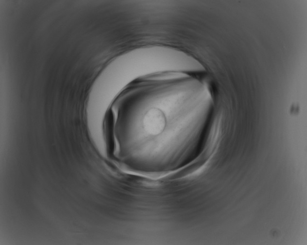 X0000094960144200712131653