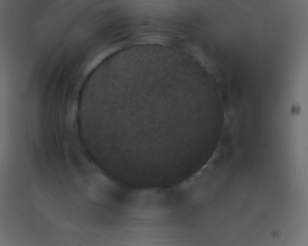 X0000094960146200712131653