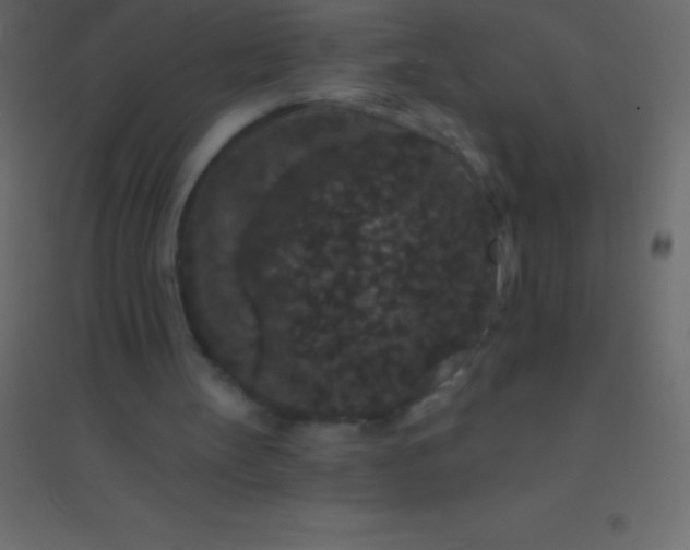 X0000094960147200712131653