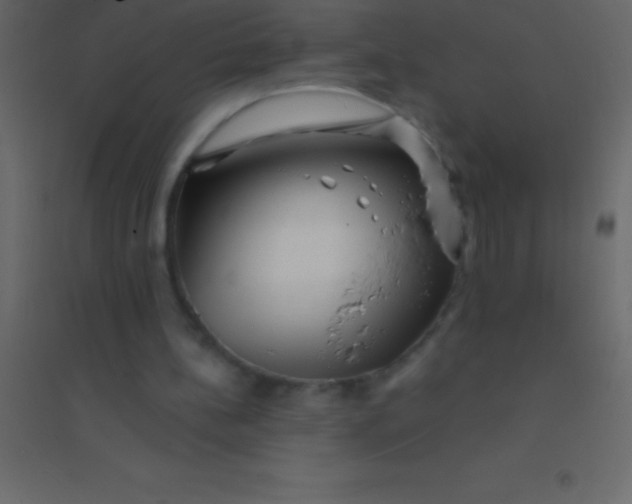 X0000094960148200712131653