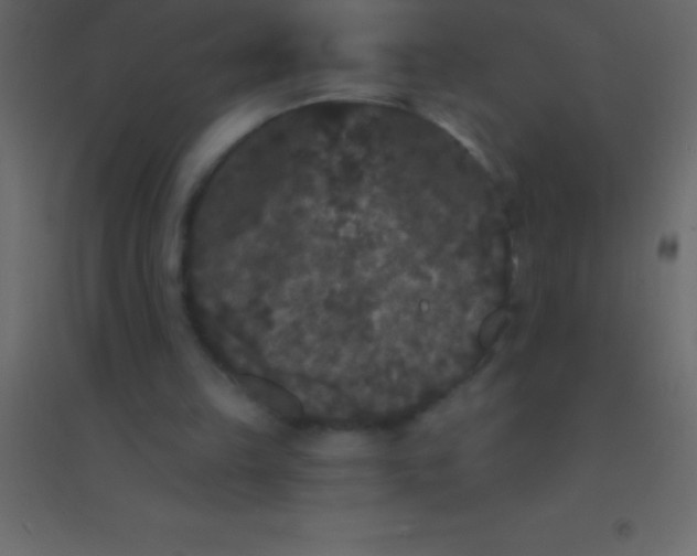 X0000094960149200712131653