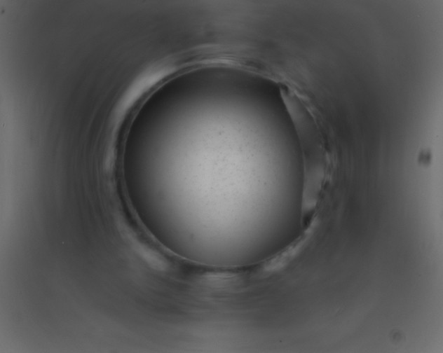 X0000094960150200712131653