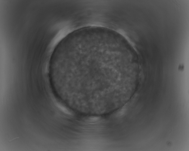 X0000094960151200712131653