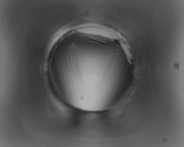 X0000094960152200712131653