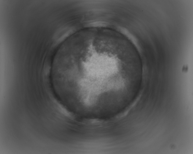 X0000094960153200712131653