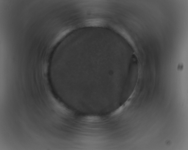 X0000094960154200712131653