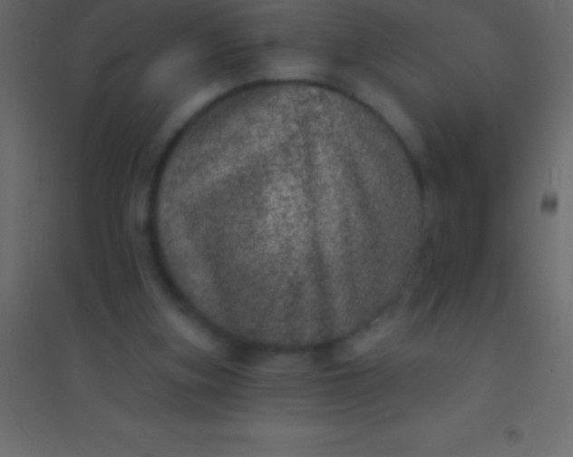 X0000094960155200712131653