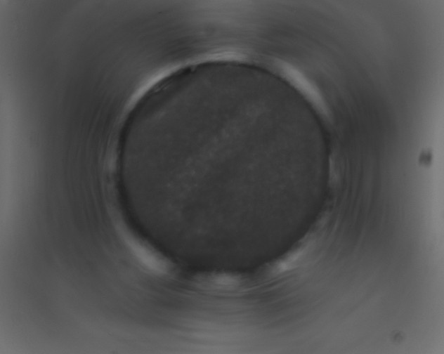 X0000094960156200712131653