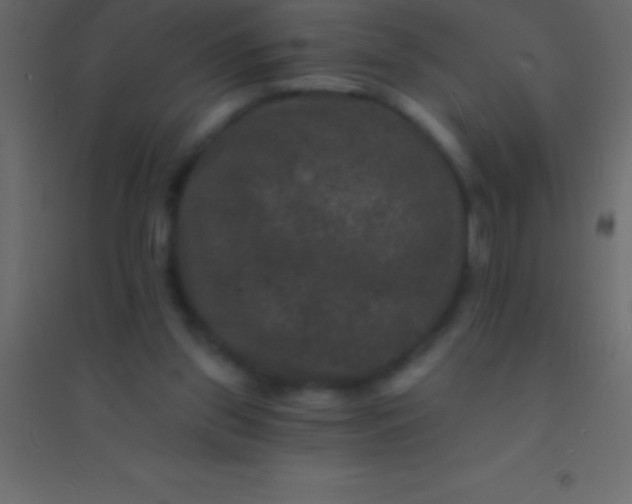 X0000094960157200712131653