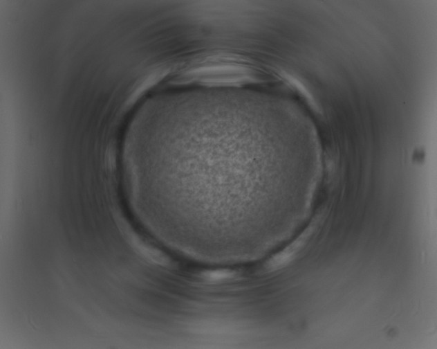 X0000094960158200712131653