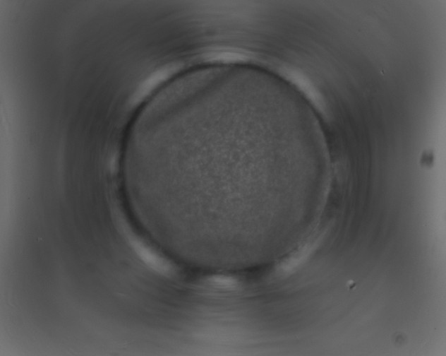 X0000094960159200712131653