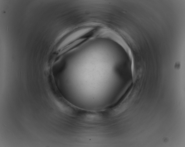 X0000094960160200712131653