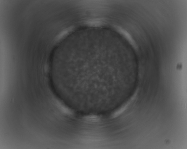 X0000094960161200712131653