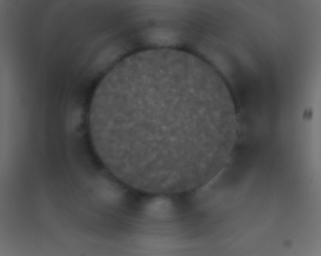 X0000094960162200712131653