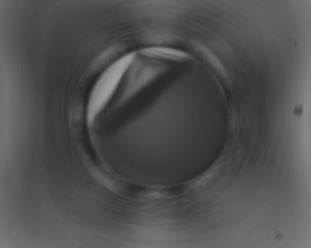 X0000094960163200712131653