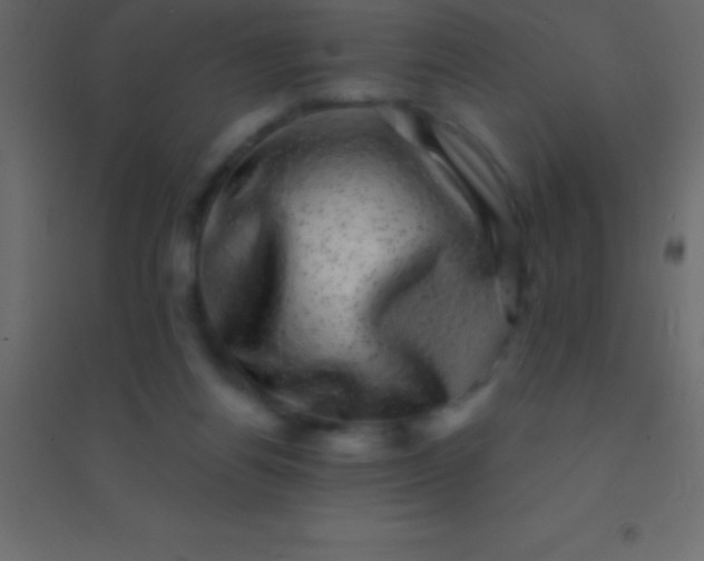 X0000094960164200712131653