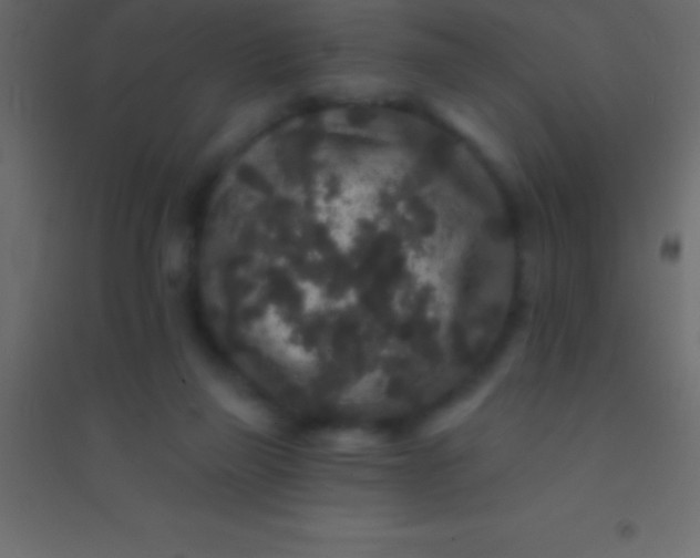 X0000094960165200712131653