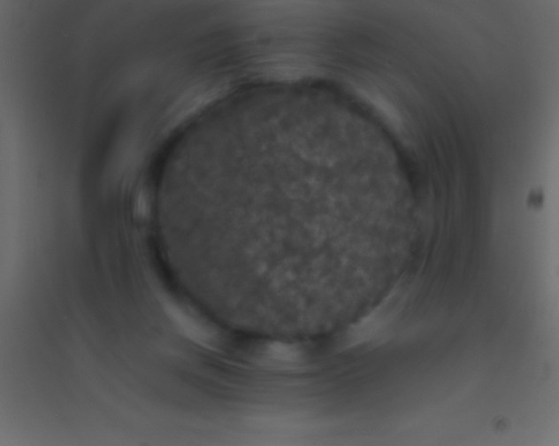 X0000094960166200712131653