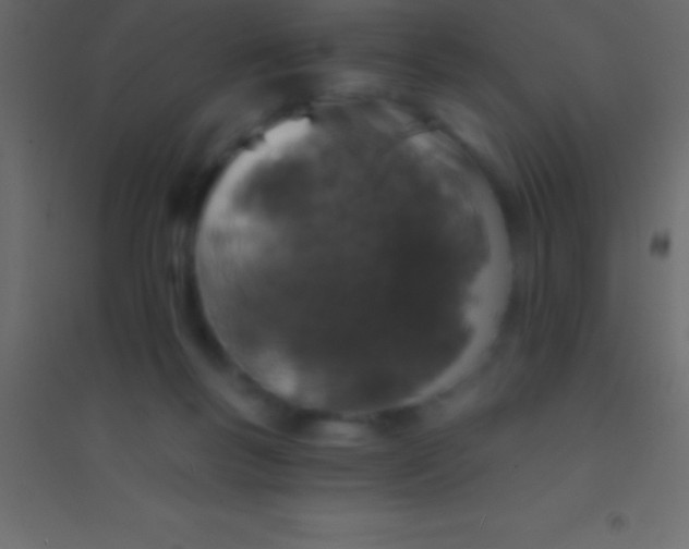 X0000094960167200712131653