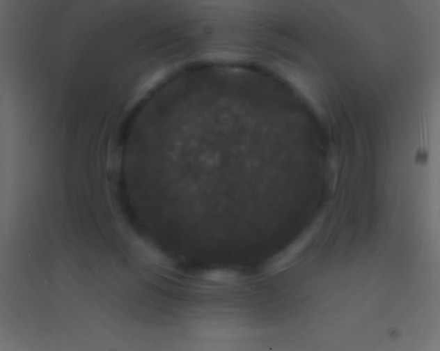 X0000094960168200712131653