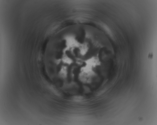 X0000094960169200712131653