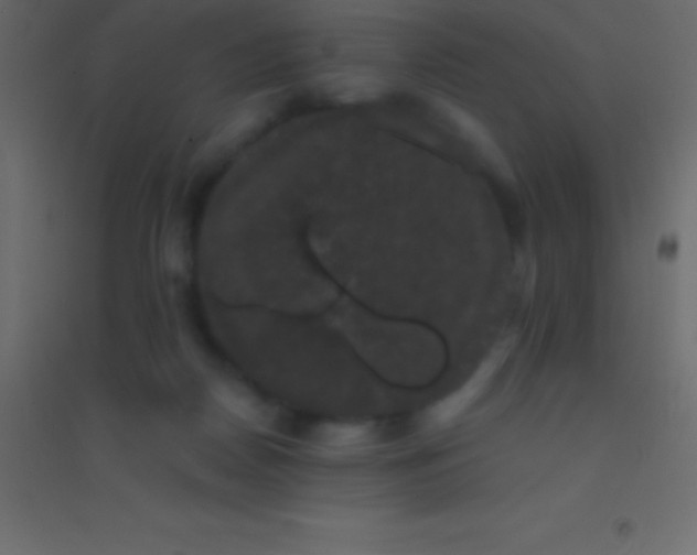 X0000094960170200712131653