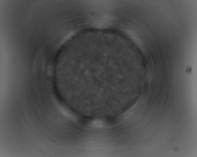 X0000094960171200712131653