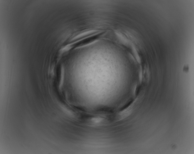 X0000094960172200712131653