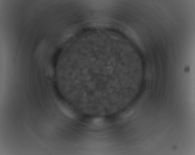 X0000094960173200712131653