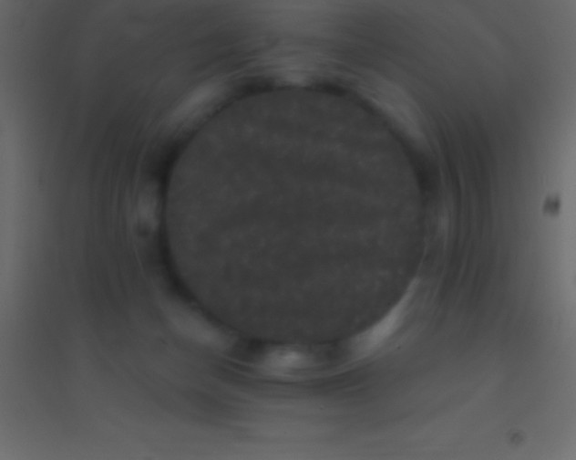 X0000094960174200712131653