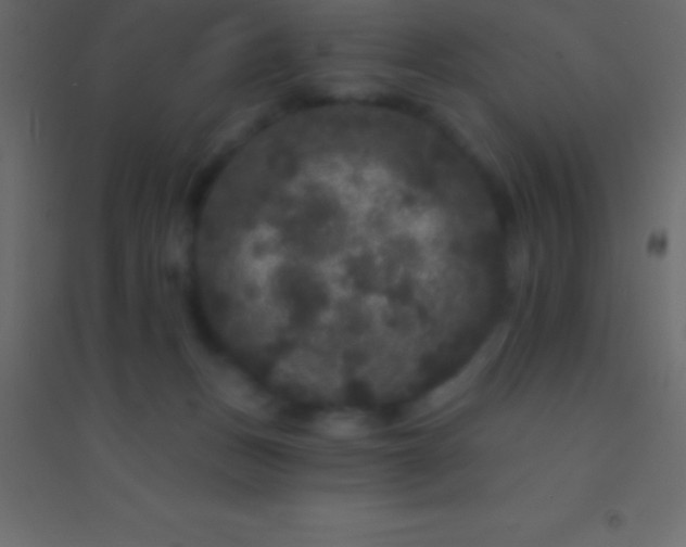 X0000094960175200712131653