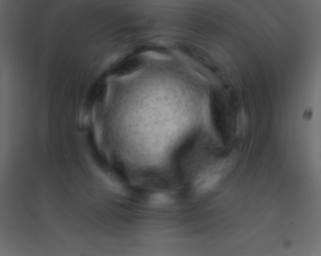 X0000094960176200712131653