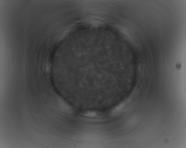 X0000094960177200712131653