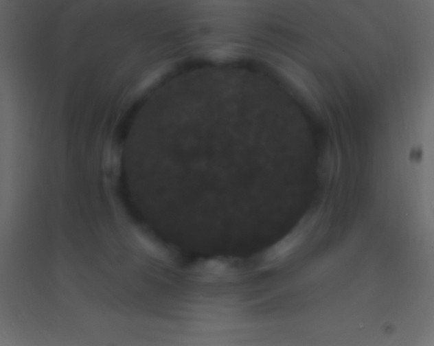 X0000094960180200712131653