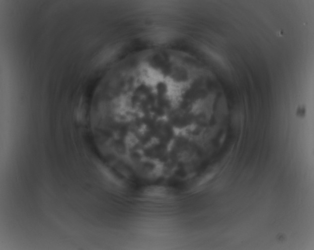 X0000094960181200712131653