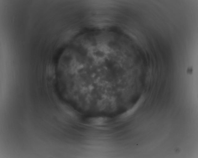 X0000094960182200712131653