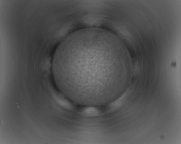 X0000094960183200712131653