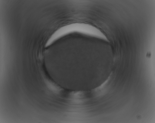 X0000094960186200712131653