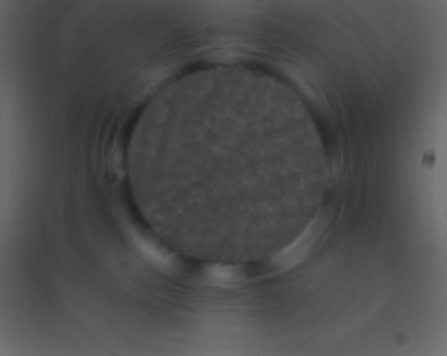 X0000094960187200712131653