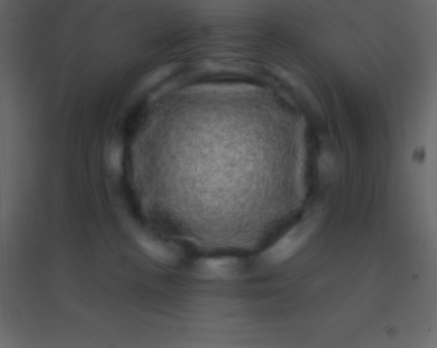 X0000094960188200712131653