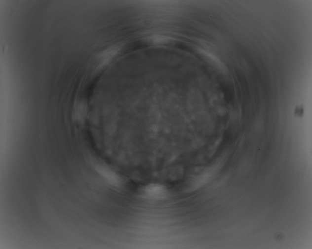 X0000094960189200712131653